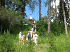 IMG_2034.jpg